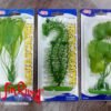 PLANTA PLASTICA LIVING WORLD MEDIANA