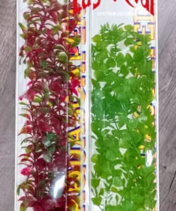 PLANTA PLASTICA LIVING WORD JUMBO