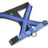 ARNES ACOLCHADO PREMIUM AZUL XS/S 2X30-45CM