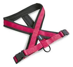 ARNES ACOLCHADO PREMIUM ROJO M/L 2.5X55-75CM