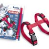 ARNES C/CORREA ROJO P/GATO RASCALS