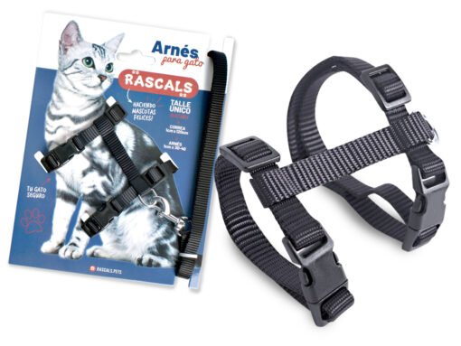 ARNES C/CORREA NEGRO P/GATO RASCALS