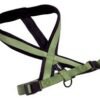 ARNES ACOLCHADO PREMIUM VERDE XS/S