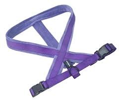 ARNES ACOLCHONADO PREMIUM VIOLETA L/XL