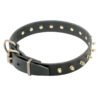 COLLAR CUERO ANCHO C/PUAS 50MMX65CM
