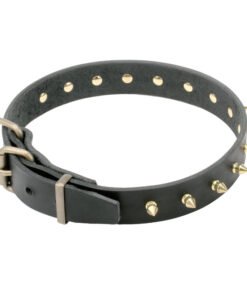 COLLAR CUERO ANCHO C/PUAS 50MMX65CM