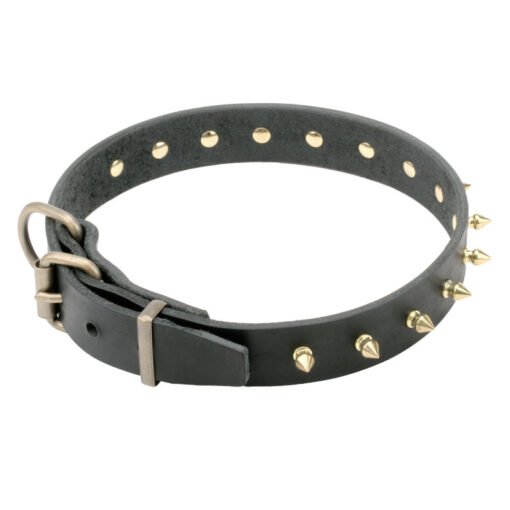 COLLAR CUERO ANCHO C/PUAS 50MMX65CM