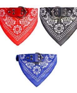 COLLAR CUERO C/PAÑUELO N-2 15mmx38cm