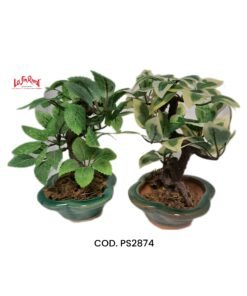BONSAI CON MACETA CERAMICA IMPORTADOR HT