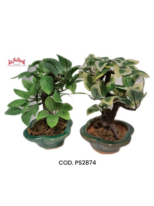 BONSAI CON MACETA CERAMICA IMPORTADOR HT