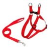 CONJ ARNES/CORREA SOFT FORRADO N-1