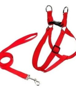 CONJ ARNES/CORREA SOFT FORRADO N-1