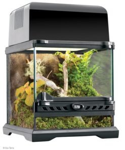 EXO TERRA NANO WIDE TERRARIUM 20X20X20 CM