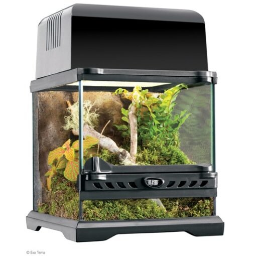 EXO TERRA NANO WIDE TERRARIUM 20X20X20 CM