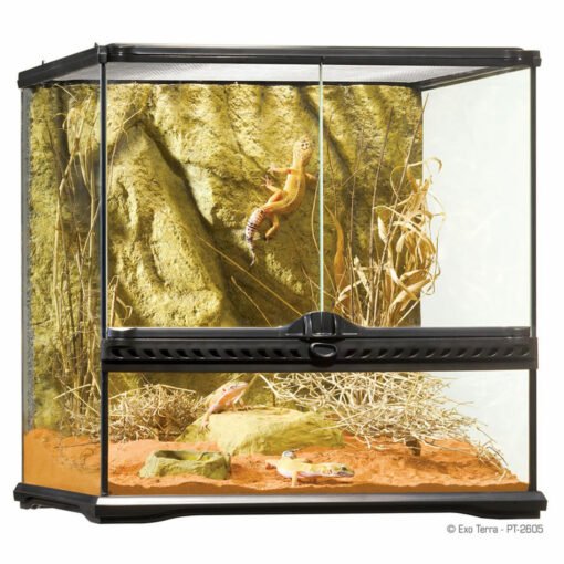 EXO TERRA SMALL WIDE TERRARIUM 45X45X45 CM