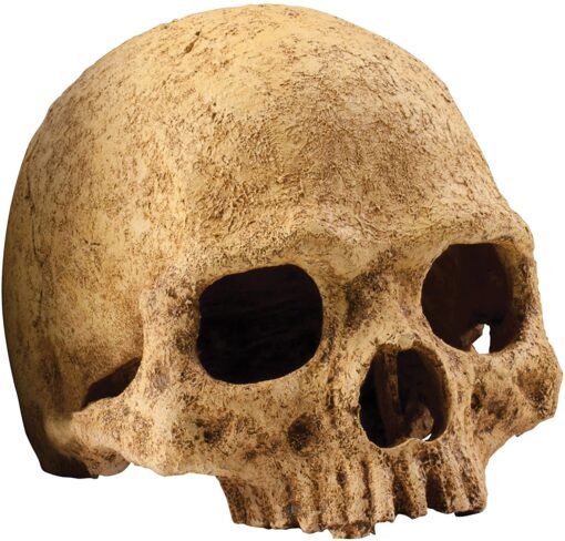 EXO TERRARIUM DECOR PRIMATE SKULL
