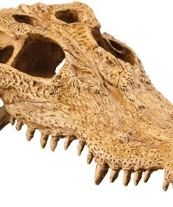 EXO TERRARIUM DECOR CROCODILE SKULL