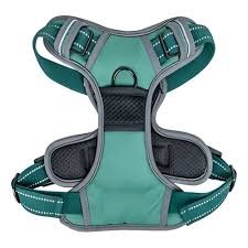 CAN CAT ARNES REGULABLE SMALL "VERDE INGLES"