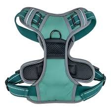 CAN CAT ARNES REGULABLE LARGE "VERDE INGLES"