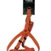 CAN CAT ARNES NARANJA MEDIUM