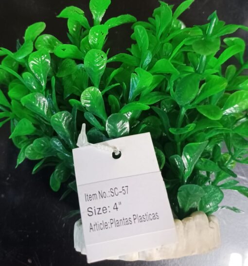 PLANTA PLASTICA C/BASE RESINA 4´´