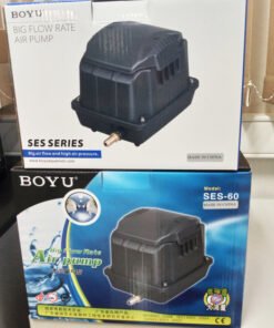 BOYU AIREA 1 SAL CONEC 6 SALID MILLEX