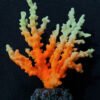 ADORNO SOFT CORAL SILICONA C/PLANTAS 32CM