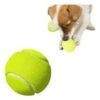 PELOTA TENIS MEDIANA APROX 14 CM IMPORTADOR