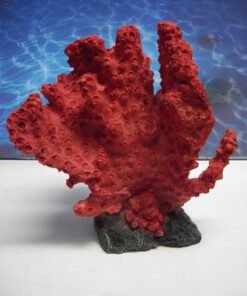CORAL RAMIFICADO GRANDE CHINESE