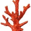 CORAL RAMA MEDIANO CHINESE