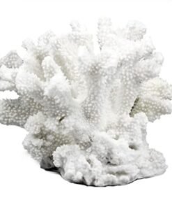 CORAL BLANCO BAJO CHINESE