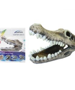 FOSIL DE COCODRILO DOPHIN