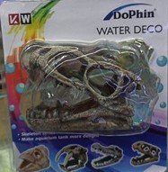FOSIL DE OFIDIOS DOPHIN