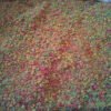 VITAMINA PARA PAJAROS X 1/2 KILO