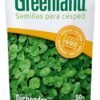 GREENLAND DICHONDRA X 50 GS