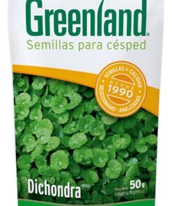 GREENLAND DICHONDRA X 50 GS