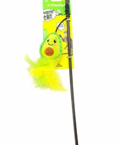 CAN CAT VARITA PALTA