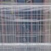YACARE JAULA CONEJO GRANDE 80X40X40  HT