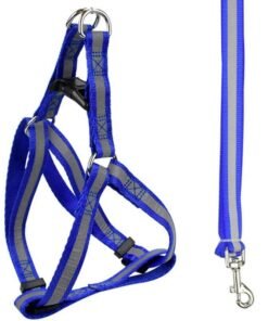 CONJUNTO ARNES Y CORREA REFLECTIVO N3 IMPORTADOR